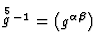 $\mathop{g}\limits^{5}{}^{-1}
=\left ( g^{\alpha \beta}\right)$